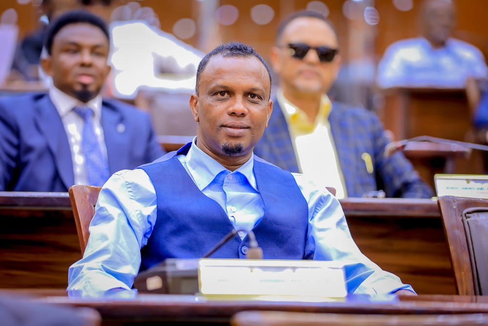 Parliament Member Image