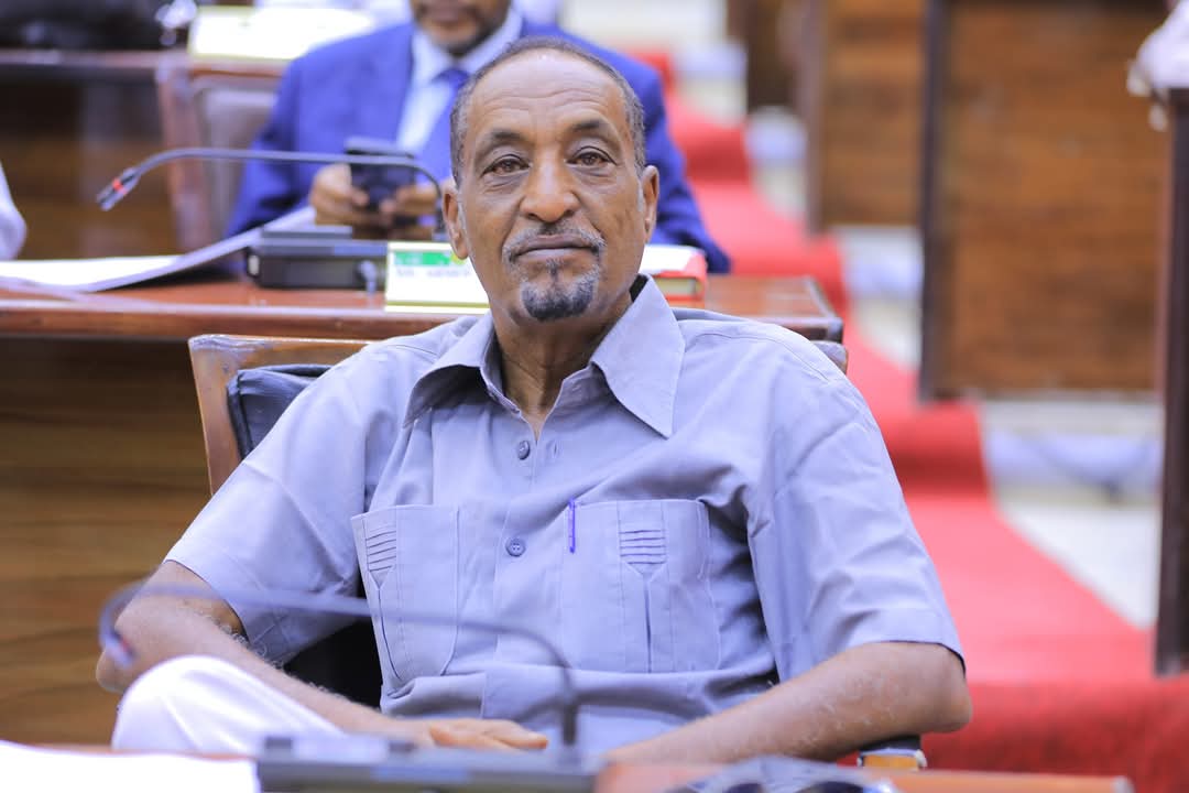 Parliament Member Image