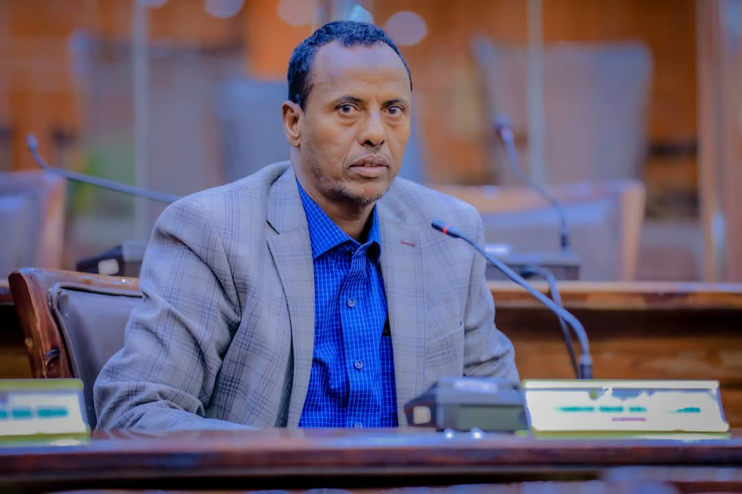 Parliament Member Image