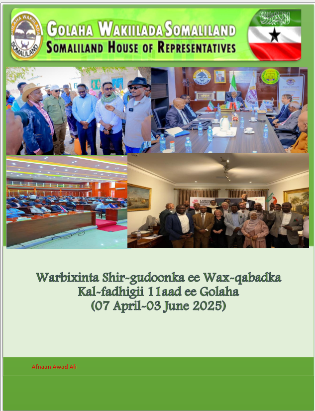 report Image